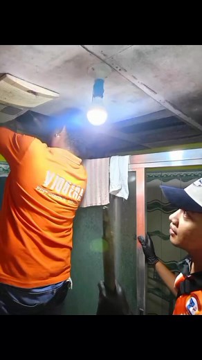 21 shares |  Say Goodbye to Termites — For Good!  The secret to...