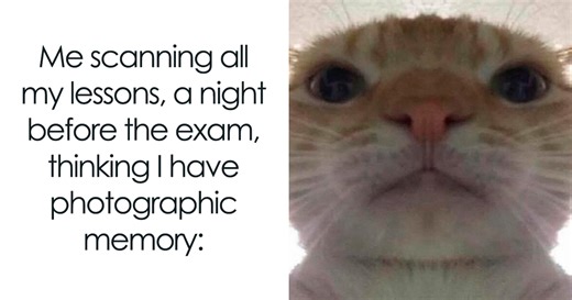 30 Funny Student Memes That Show What Life Is Like At College