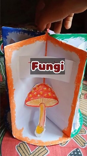 Five kingdom classification model #tlm #biology #bedpracticum #biologymodel