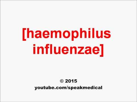 Pronounce Haemophilus influenzae | SpeakMedical