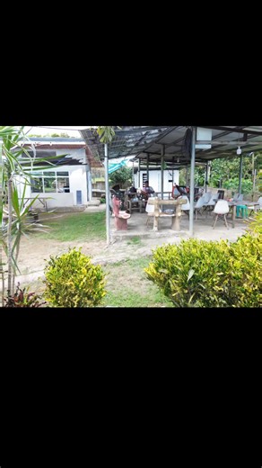 TAMBAYAN NI WALAY la nu bigat ahhh mapan kayu ISLA RUBY FARM #highlightseveryonefollowers2025シ゚viralfbreelsfypシ゚viral #followersreelsfypシ゚viralシfypシ゚viralシ #friendsfollowersViewers #highlighteveryone #AmulungCagayan | Randolf Romualdo