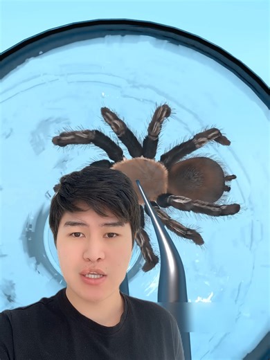 Can a spider escape from a glass cup 😥 | #stories #interestingfacts #facts #amazingfacts