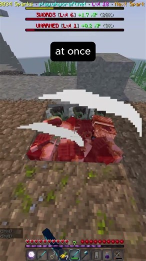 DUAL WIELD #minecraft #dualwielding #minecraftserver #mcserver