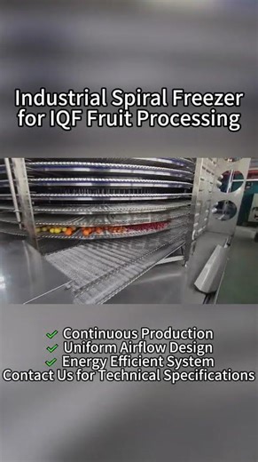 Spiral Freezer for IQF Fruit Processing – Live Operation #industrialvideo #spiralfreezer#IQF
