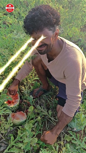s How to Check if a Watermelon is Sweet 🍉 #viral #funny