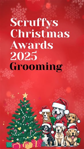 14 reactions | ✂️ NEXT UP, THE SCRUFFY’S GROOMING AWARDS ✂️ From...