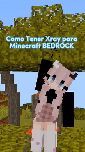 Cómo instalar Xray para Tu MINECRAFT BEDROCK/Pe 🍒