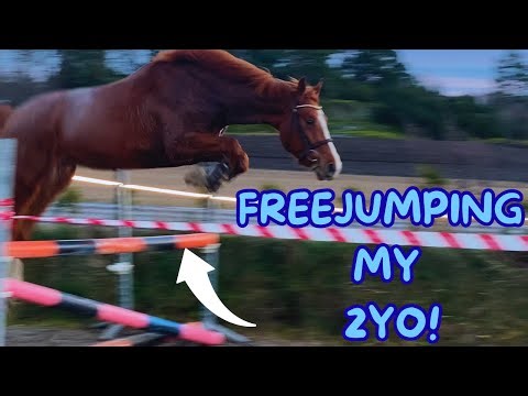 FREEJUMPING MY 2 YEAR OLD FOR THE FIRST TIME... I’M SHOCKED!