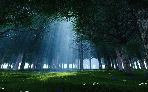 无水印风景素材｜森林、雨季、春天「BGM：星星失眠」