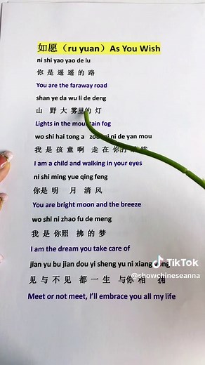 As you wish 如愿 ru yuan#chinesesong #chinese #mandarinsong #ruyuan #如愿 #中文歌曲#lyrics #foryou #viralvideo