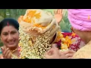 thinckerbell (@thinckerbell)’s videos with original sound - thinckerbell