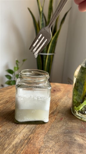 Chow Sureng Rajkonwar | Here’s a simple, step-by-step guide to making eggshell fertilizer using vinegar. 🥚 What You Need: • Clean, dry eggshells (5–10) • White... | Instagram