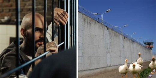 Prison in Brazil uses geese to deter prisoners from escaping and it seems to be working