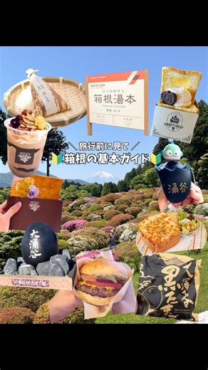 行く前に見てほしい！箱根旅行の基本ガイド #shorts #箱根 #観光