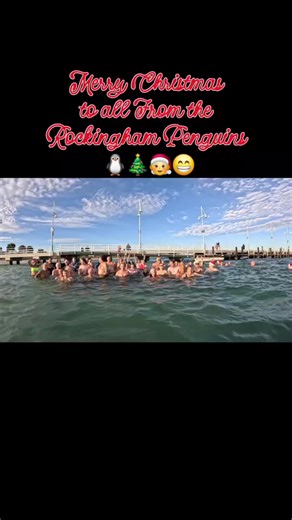 Celebrate Christmas with the Rockingham Penguins
