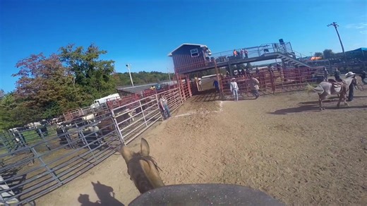 Pole Bending Success at Rodeo: 2nd Place Finish