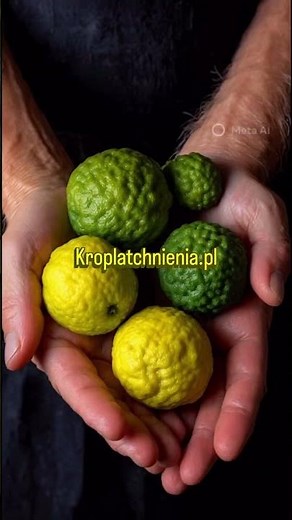Bergamotka – najpiękniejszy cytrus w perfumach 🍊 Jak pachnie i dlaczego jest taka wyjątkowa?