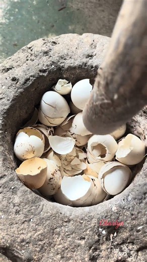 Egg shells for organic fertilizer