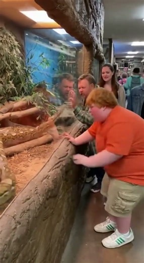 They Angered the WRONG Python... SHOCK at the Zoo!