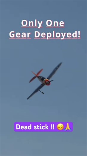 Dead stick !!! #aviation #airplane #landing