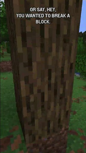 This Minecraft Mod Makes EVERYTHING Fall Down With Physics!