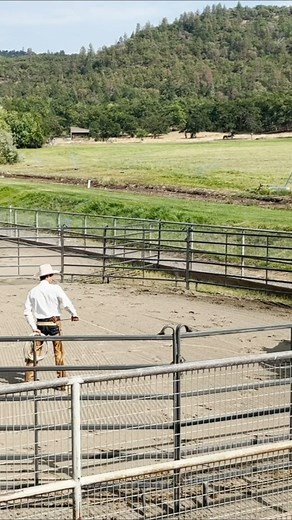 New Video out now! Noah is back with the 12 year old mare 🐴. We are working on roping the hind legs in the round pen then moving on to the arena. There is already over 3 hours of footage of this series on 3Rein Media Library. Check out this video and more 😊! #horses #horsetraining #horseriding #horsemanship #horsetrainer #horselife #equine #equestrian #mare #horsevideo | 3Rein Media