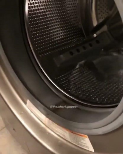 Shark Puppet toma un BAÑO