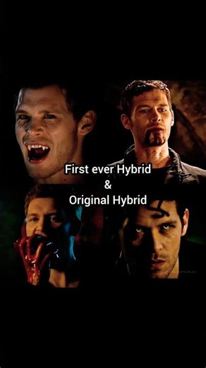 The Mikaelson Family❤️‍🔥 #vampirediaries #thevampirediariesedits #fyp #theoriginals
