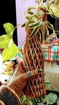 #how to reuse fruit net cover#gardening ideas ☺️🌿👍