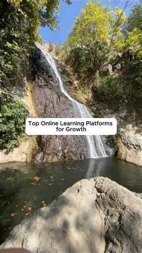 Best Online Learning Platforms
