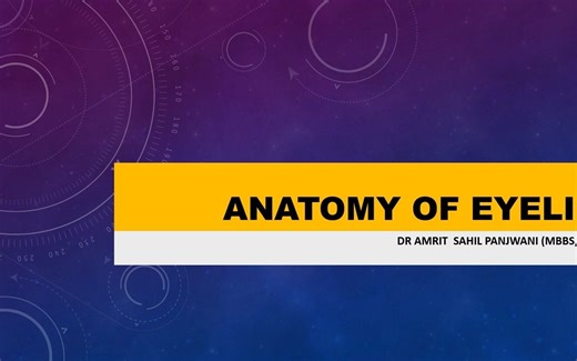 Eyelids Anatomy Explained - 眼睑解剖