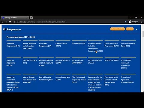 How to register in the EU Funding and Tenders Portal