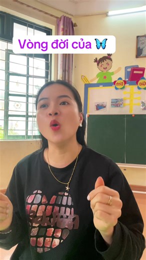 Vòng đời bươm bướm trong giáo án mầm non