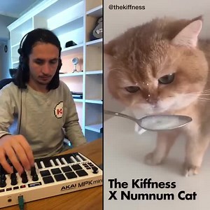 The Kiffness x Numnum Cat. Brilliant 😍👌 | Techno 24/7