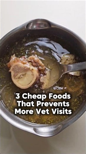 3 cheap foods that prevent more vet visits than any supplement I've ever tried