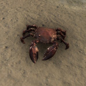 Online:Mudcrab Chitin - UESP Wiki - The Unofficial Elder Scrolls Pages