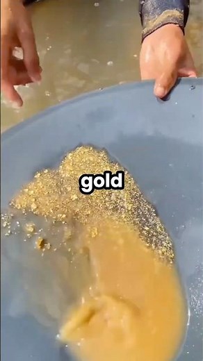 Separating gold from river mud like a pro #goldpanning #technique