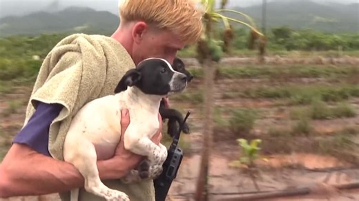 Hawaiian Humane Society rescues more than 170 animals after Oahu flooding, seeks help reuniting pets with owners