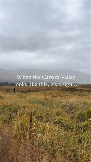 A tell-tale sign of the seasons shifting 🍁❄️ One of the best parts about Carson Valley life is being near the snow without actually having to live IN it. It’s a milder take on winter, but the views are just as spectacular. #mountainviews #explorenevada #sierranevadamountains #smalltownlove #carsonvalley #nevada #whycv | Laura Moline-RE/MAX Realty Affiliates #0048448