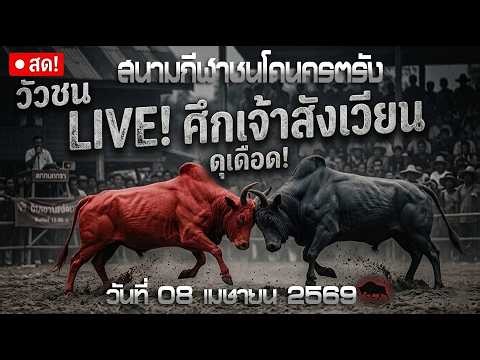 #live #วัวชนวันนี้ #วัวชนสนามชนโคนครตรัง วันที่ 07 เมษายน 2569 #วัวชน #วัวชนวันนี้