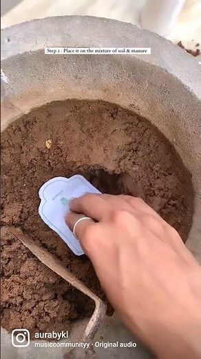 SEED PAPER PLANTING INSTRUCTIONS||How to sow seed paper/plantable paper ||sowing paper instructions