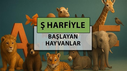 Ş harfi ile başlayan hayvan isimleri: Ş harfi ile başlayan hayvan isimleri nelerdir?
