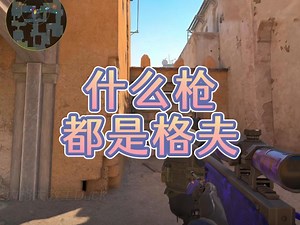 都是内格夫的朋友，都是格夫 #cs2 #CSGO #游戏