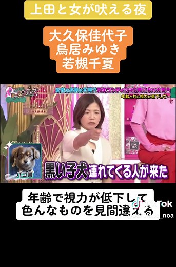 #上田と女が吠える夜 #大久保佳代子 #鳥居みゆき #若槻千夏 #あるある #爆笑 #トーク #おすすめ #おすすめにのりたい