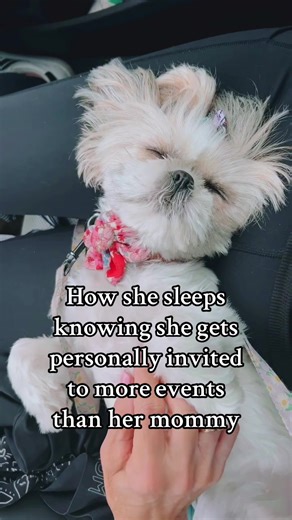 What can she say? She’s popular #georgiashardlife