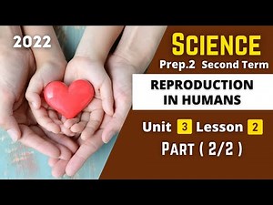 SCIENCE | Prep.2 | Reproduction in Humans #2 | Unit 3 - Lesson 2