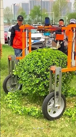 Buxus Trimming Machine For Bushes | Machines #shorts