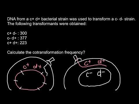 How to Find Cotransformation Frequency