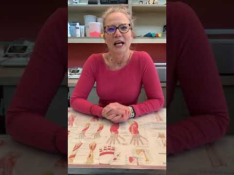 Isolated FDS and FDP exercise program