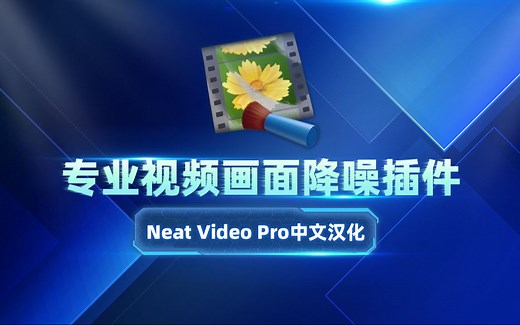 视频噪点终结者，专业视频画面降噪插件Neat Video Pro中文汉化